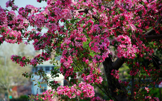638717 (a): :2560x1600